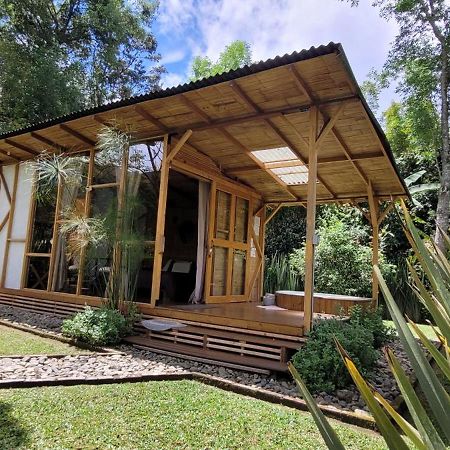 Exclusivo Cocora Con Jacuzzi Salento Quindio Villa Exteriör bild