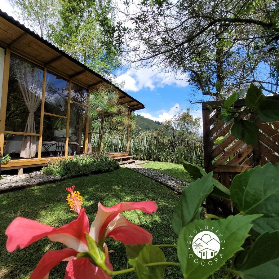 Exclusivo Cocora Con Jacuzzi Salento Quindio Villa Exteriör bild