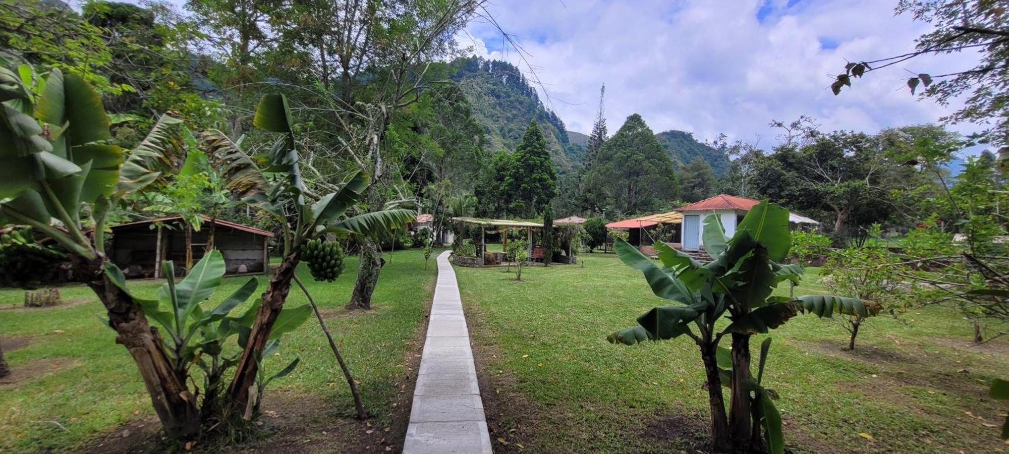 Exclusivo Cocora Con Jacuzzi Salento Quindio Villa Exteriör bild