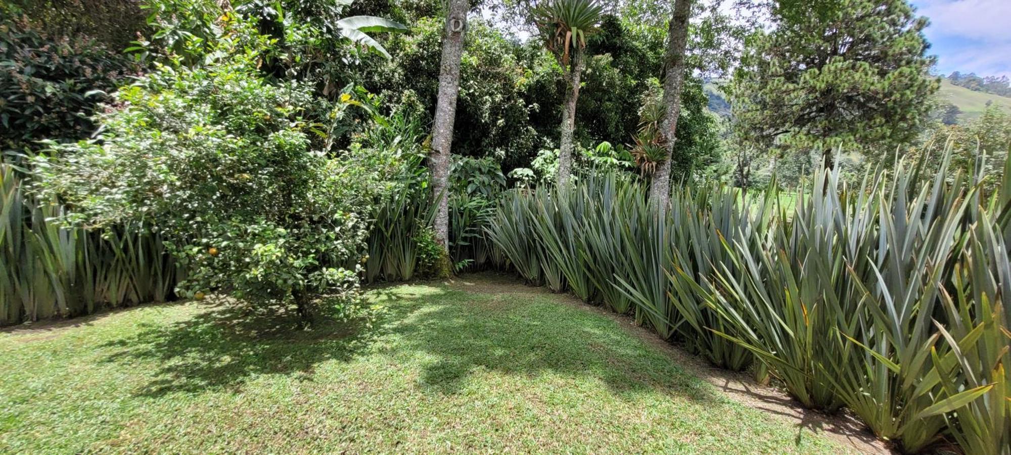 Exclusivo Cocora Con Jacuzzi Salento Quindio Villa Exteriör bild